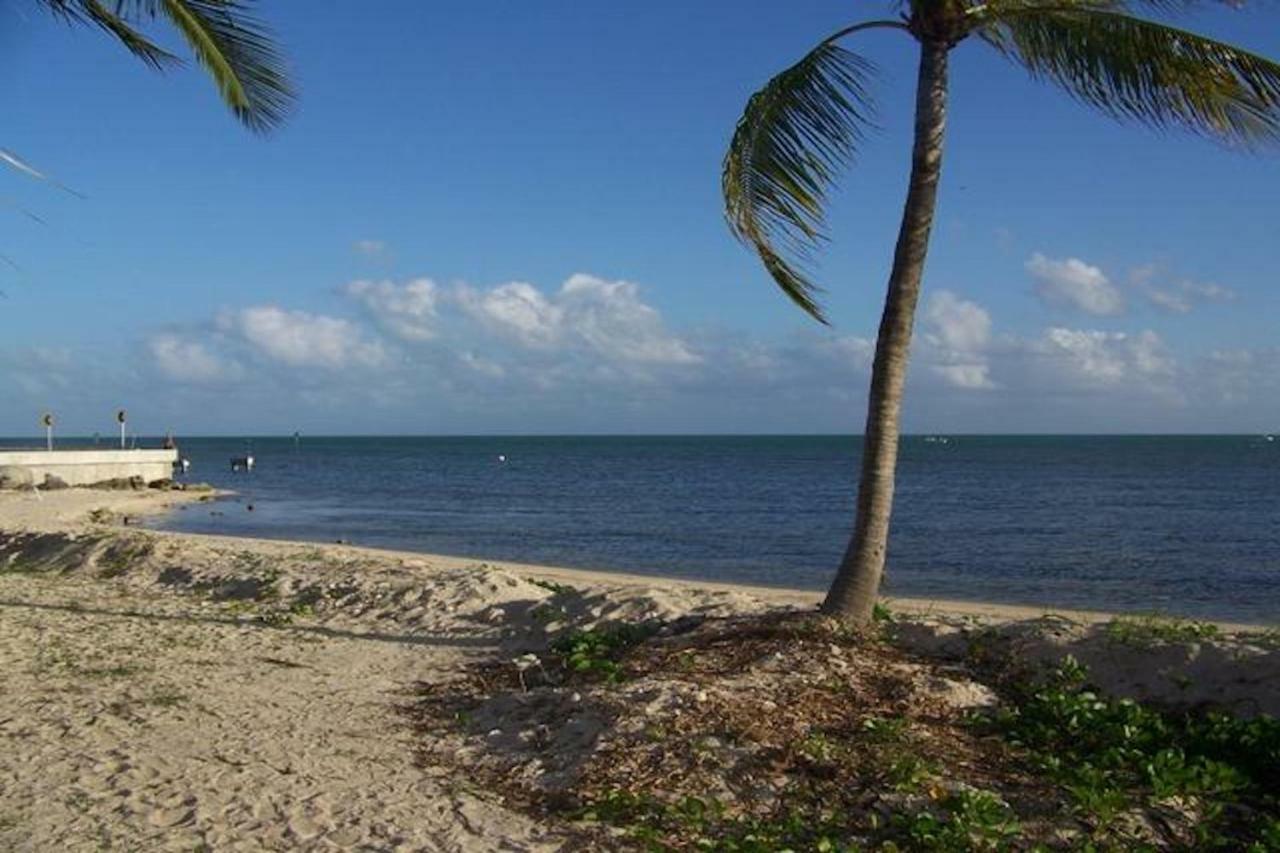 Coconut Palms Villa Key West Exterior photo